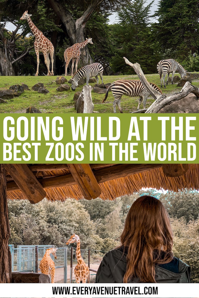 Going Wild At 10 Of The Best Zoos In The World ⋆ Every Avenue Travel