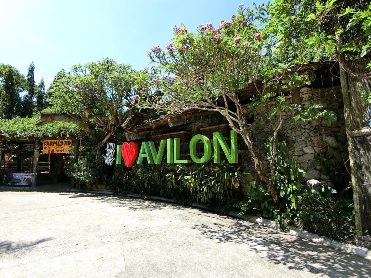 every-avenue-travel-best-zoos-in the world