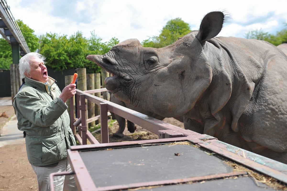 every-avenue-travel-best-zoos-in the world