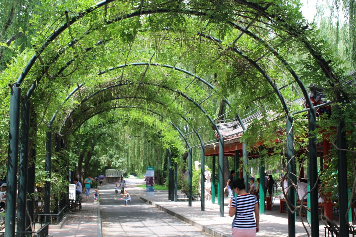 every-avenue-travel-best-zoos-in the world