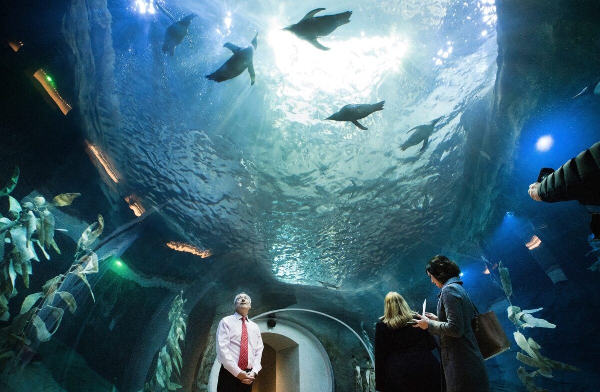 every-avenue-travel-best-zoos-in the world