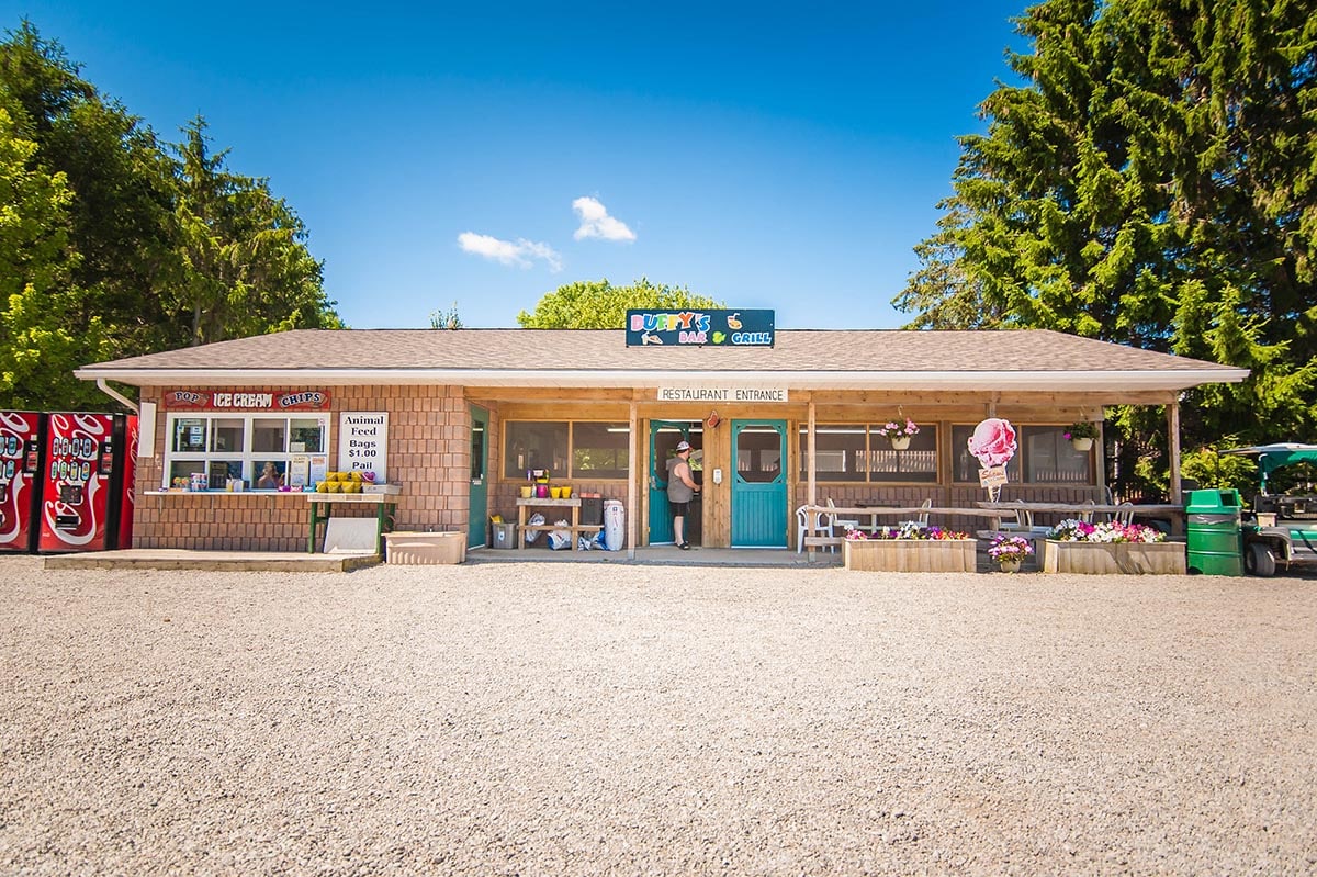 every-avenue-travel-best-zoos-in the world