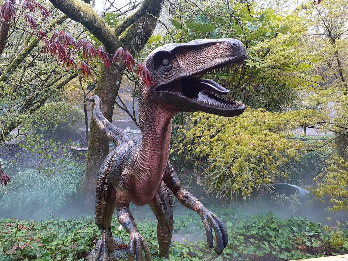 every-avenue-travel-Traveling-To-Scotland