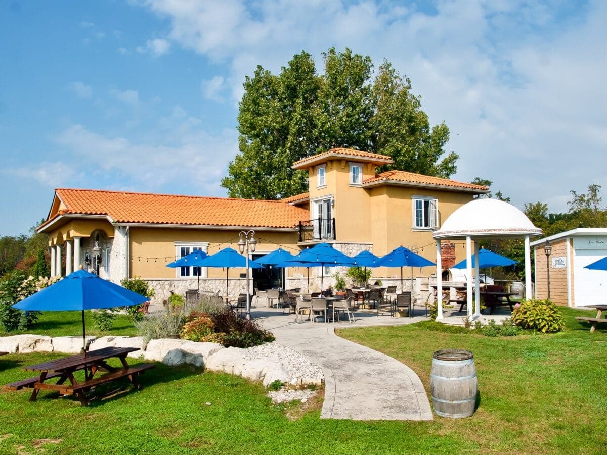 every-avenue-travel-top-wineries