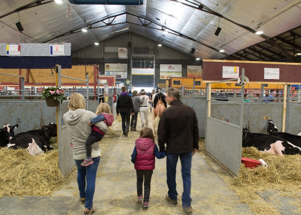 every-avenue-travel-county-fairs
