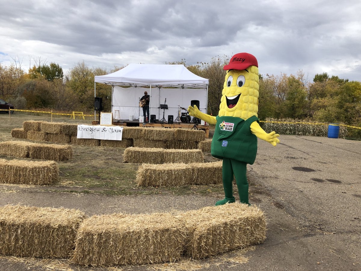 every-avenue-travel-county-fairs