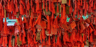 8 Common Superstitions from Around the World and Their Surprising Origins huimin cai RfZxY KFqjs unsplash