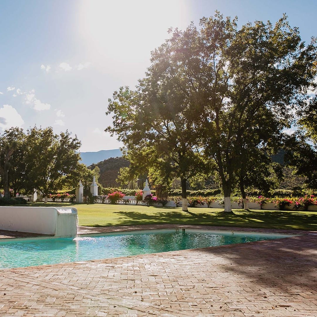 every-avenue-travel-top-wineries