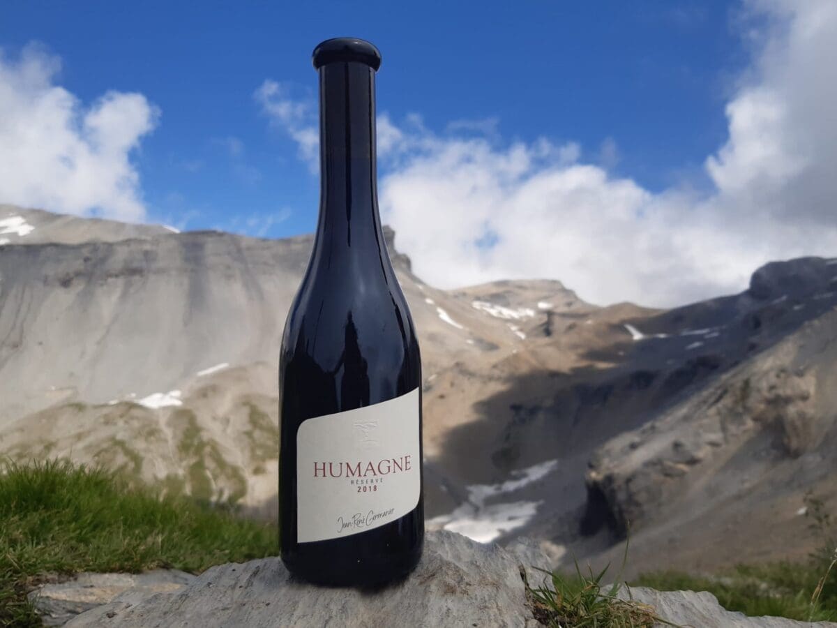 every-avenue-travel-top-wineries