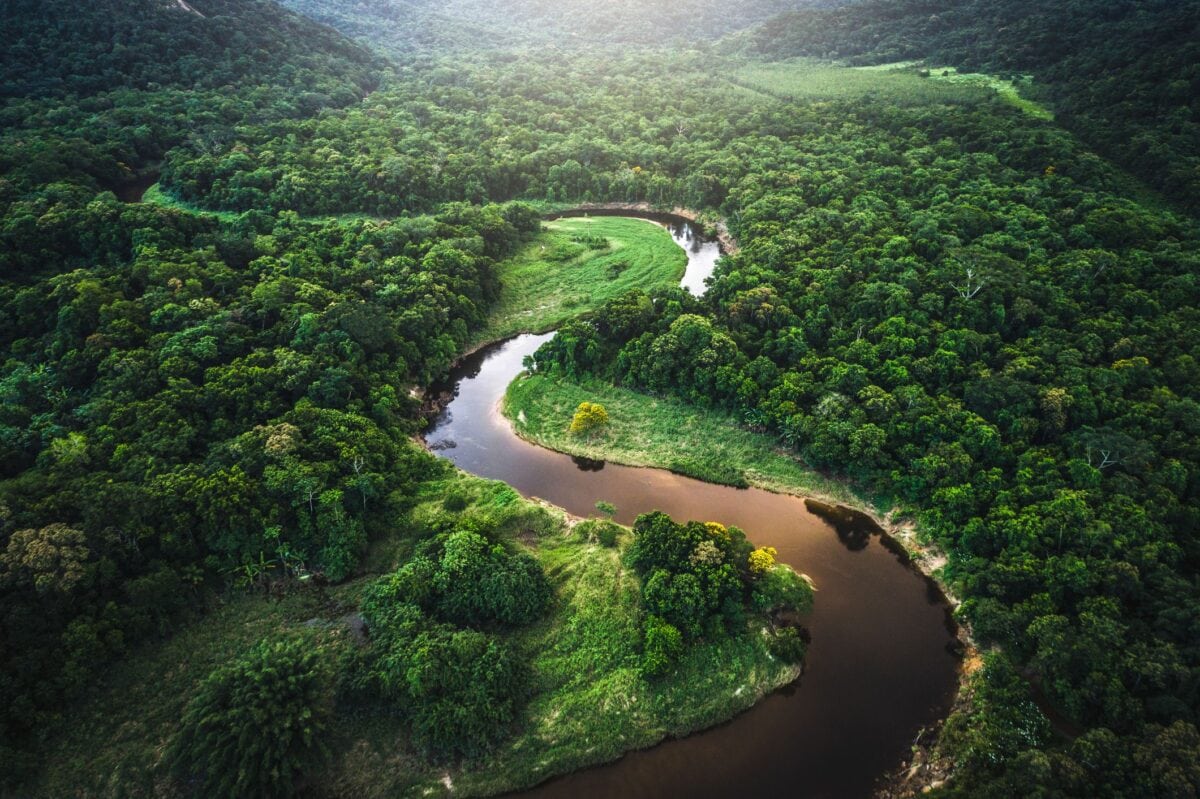 every-avenue-travel-rainforest locations