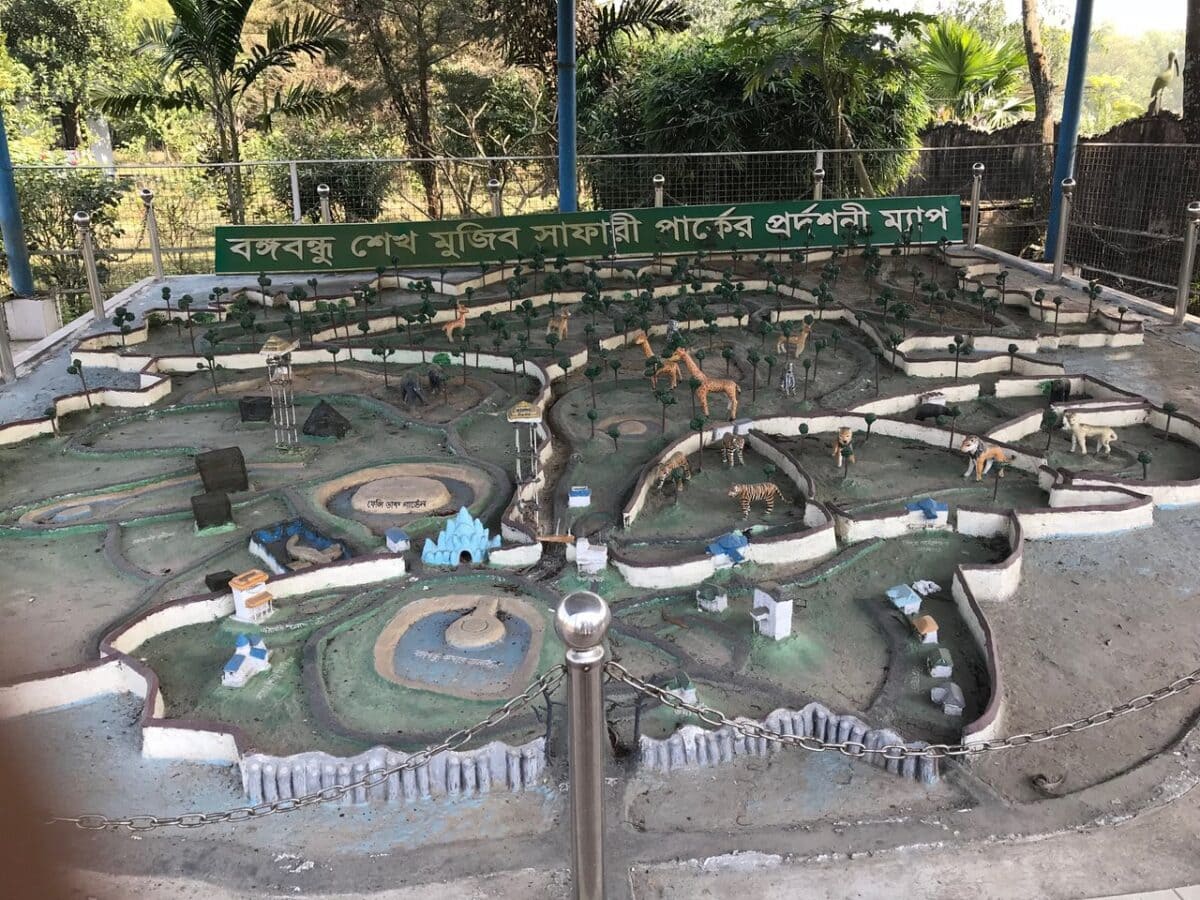 every-avenue-travel-animal-safari