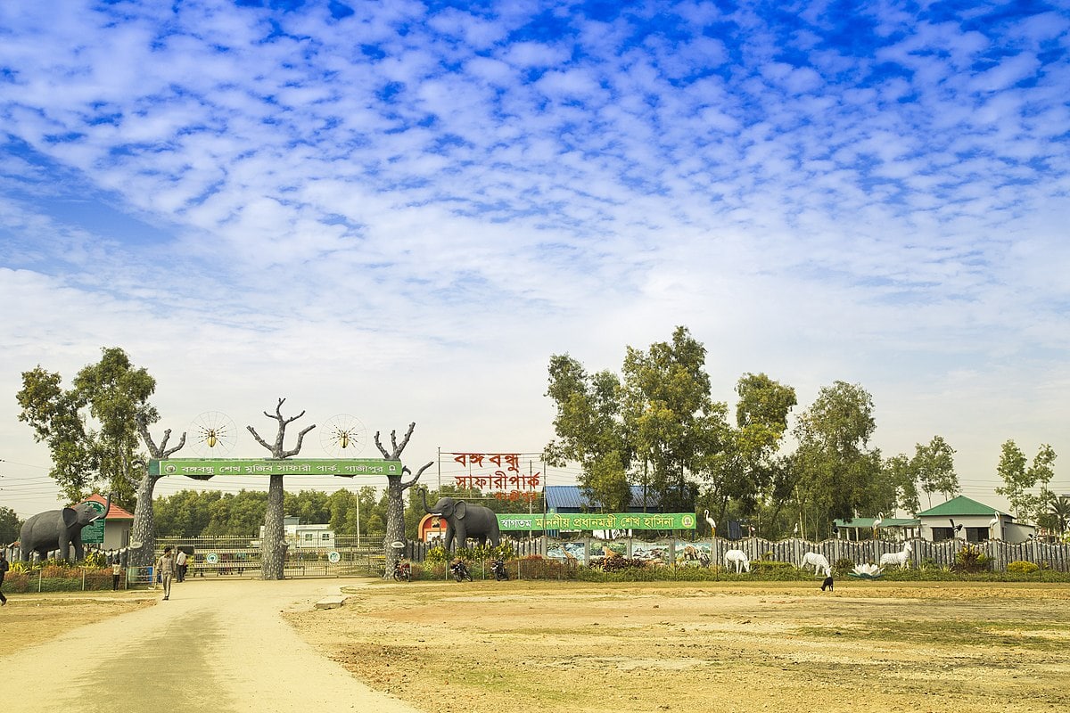 every-avenue-travel-animal-safari