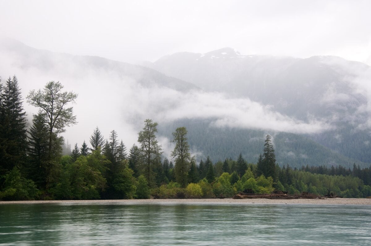 every-avenue-travel-rainforest locations