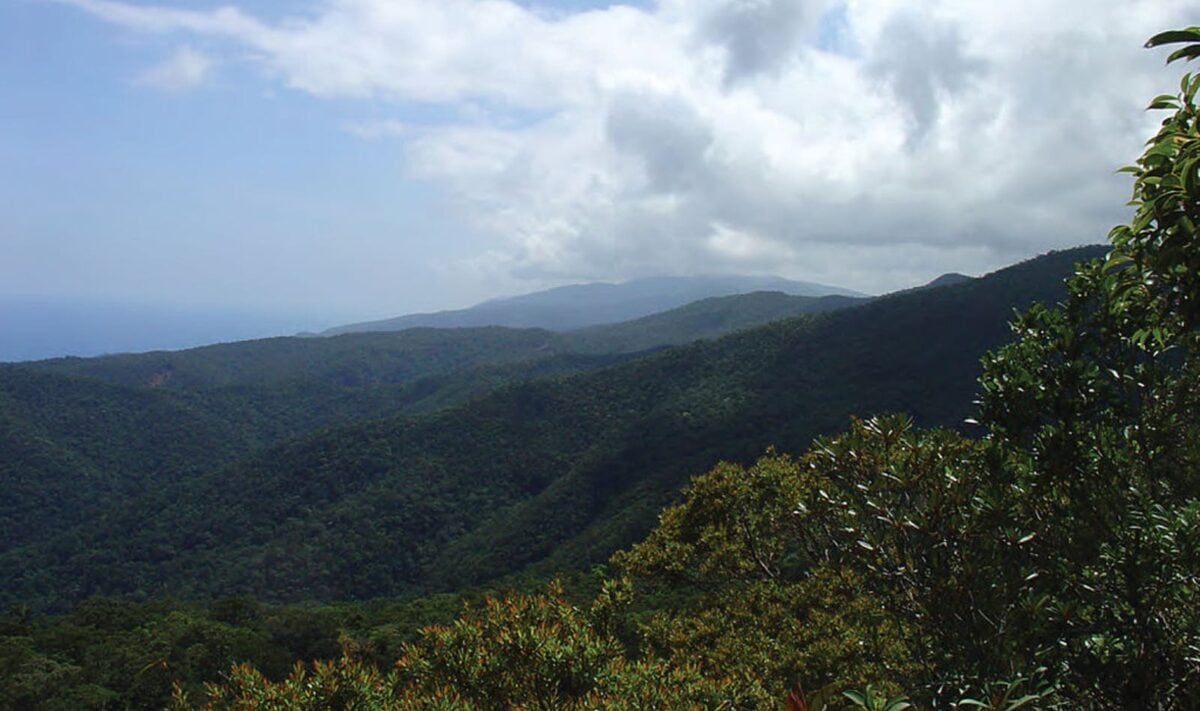every-avenue-travel-rainforest locations