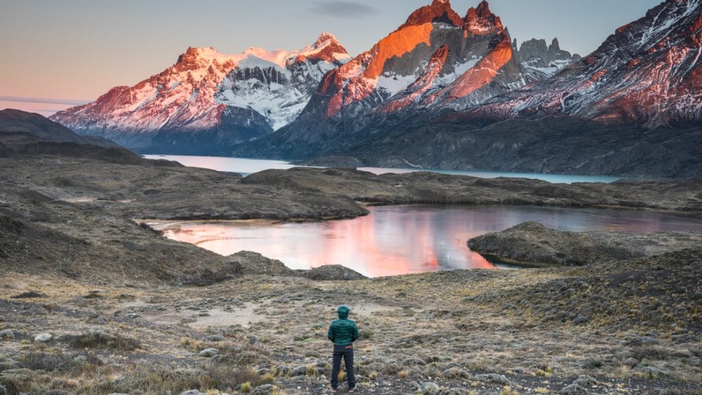 every-avenue-travel-animal-safari