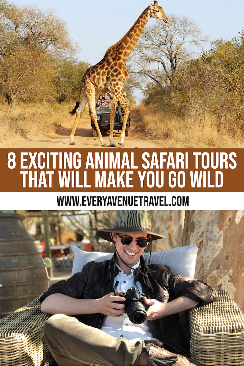 every-avenue-travel-animal-safari