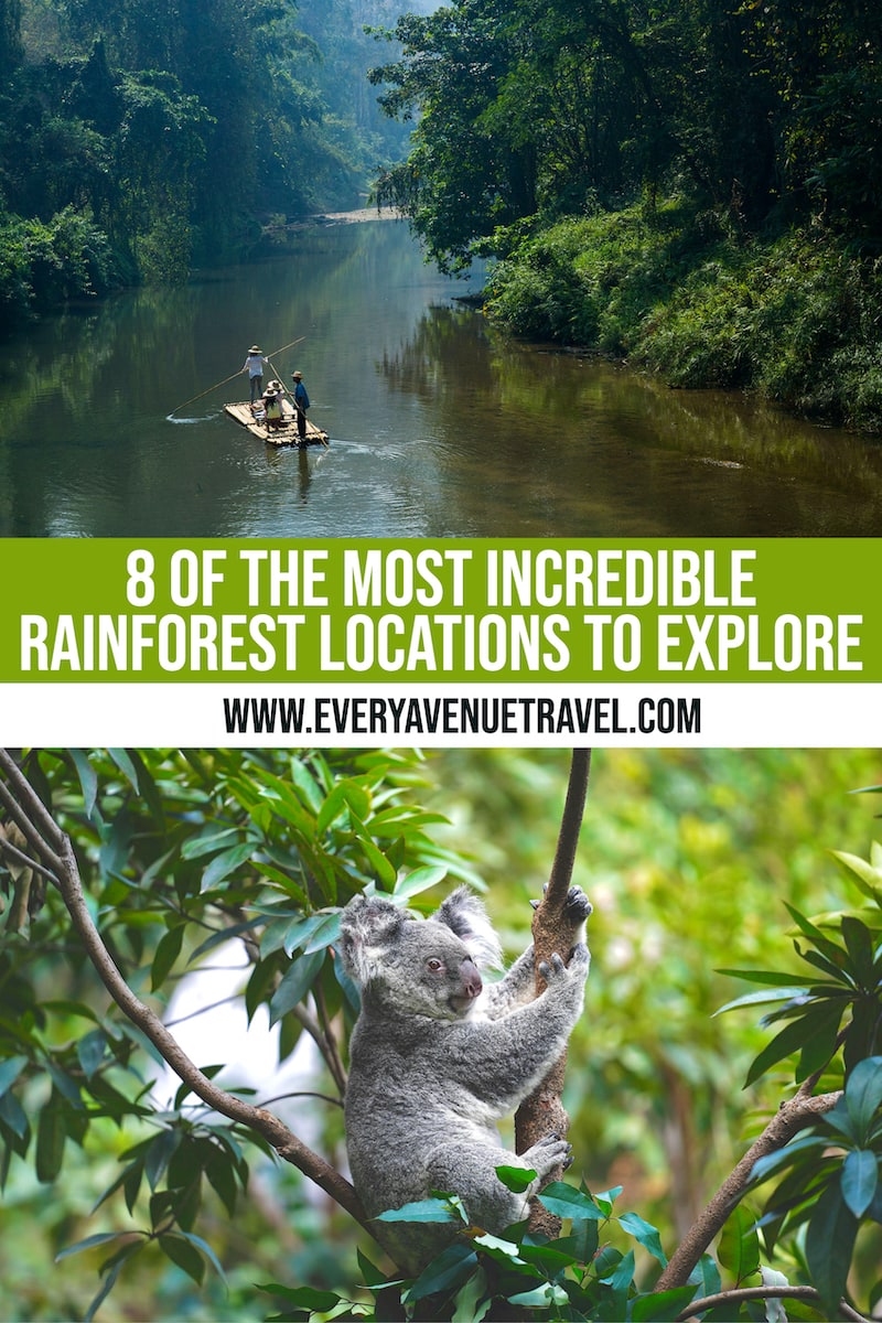 every-avenue-travel-rainforest locations