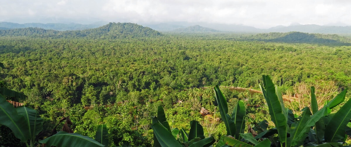 every-avenue-travel-rainforest locations