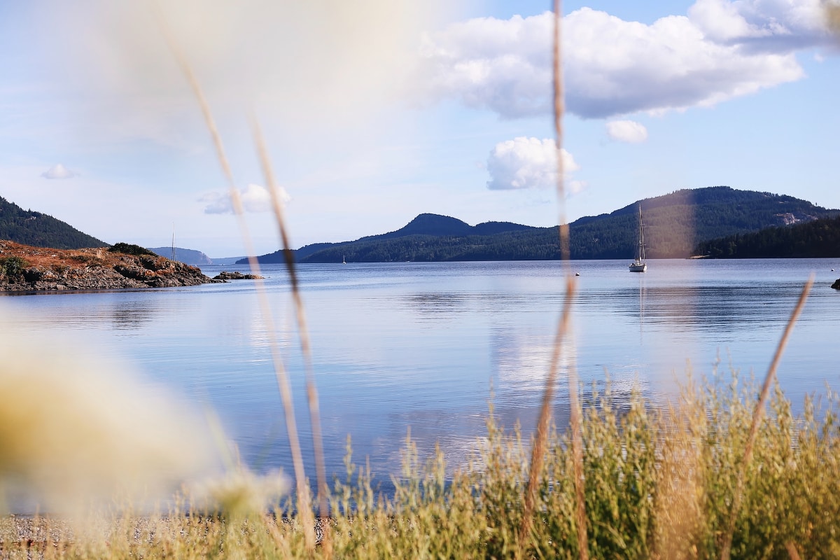 every avenue travel san juan islands