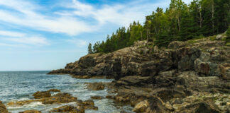 The Ultimate Guide to Acadia National Park Camping every avenue travel Acadia National Park camping