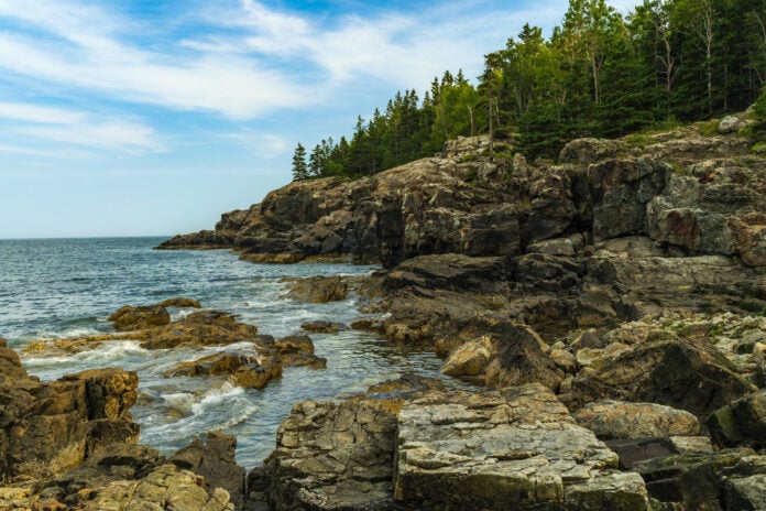 every avenue travel Acadia National Park camping